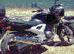 Avatar de Usuario