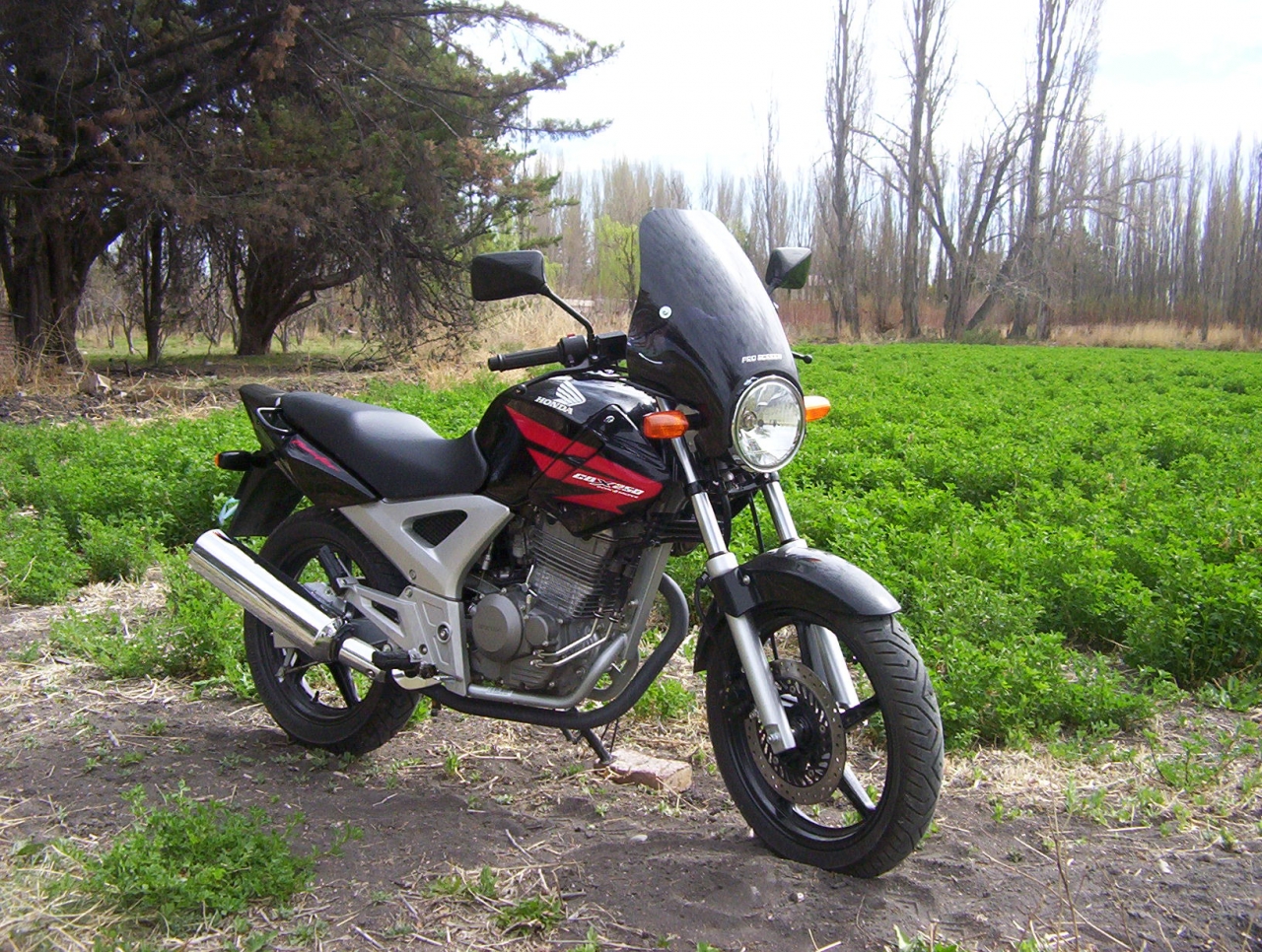 Imagen 0221.jpg