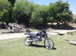 2013 Honda XR 250 Tornado