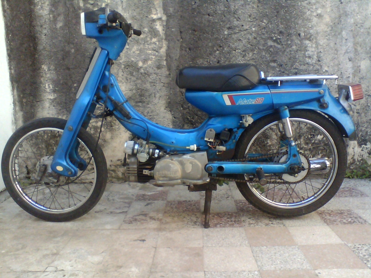 IMG00169.jpg