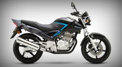 2014 Honda CBX 250 Twister