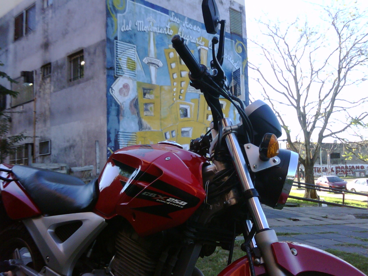 IMG00438-20130504-1635.jpg