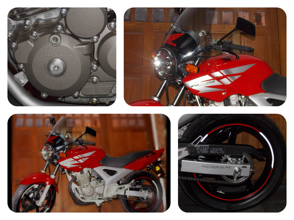 Fotor032174011.png