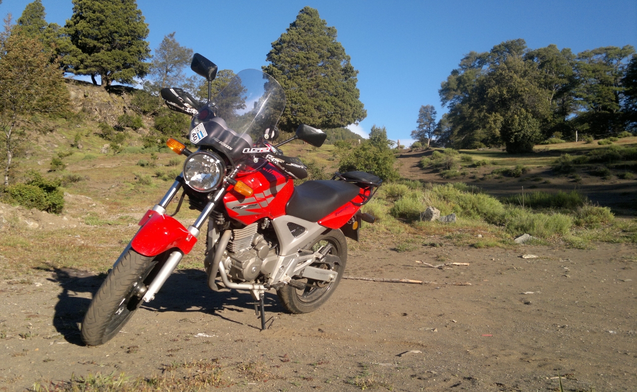 2014-11-25-326.jpg