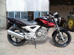 2010 Honda CBX 250 Twister