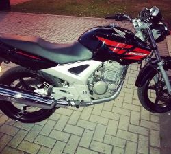 2013 Honda CBX 250 Twister