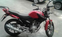 2019 Yamaha YBR 125 ED Factor