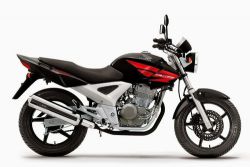 2008 Honda CBX 250 Twister