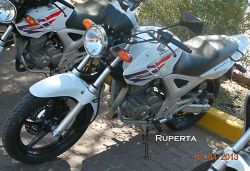 2011 Honda CBX 250 Twister