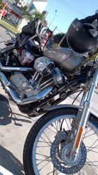2007 Harley Davidson Sporter 883