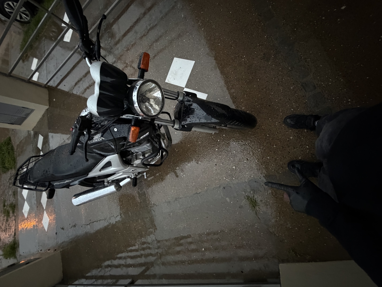 IMG_1582.jpeg
