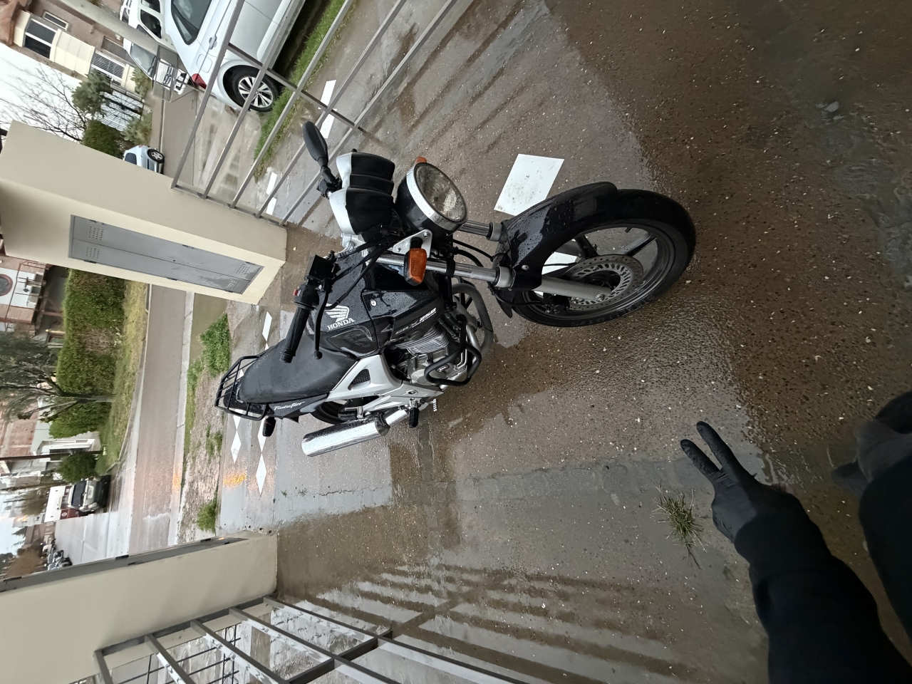 IMG_1573.jpeg