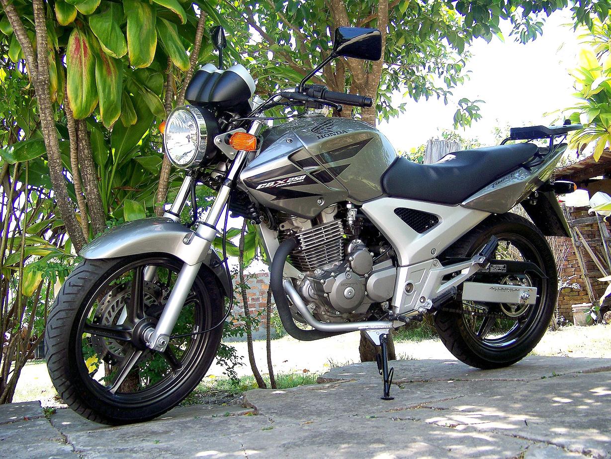 100_7877-2.3.JPG