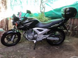 2007 Honda CBX 250 Twister