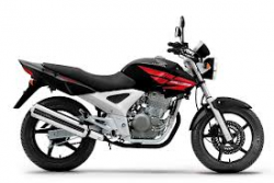 2011 Honda CBX 250 Twister